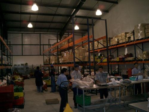 fotos-planta-global-007